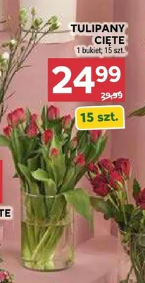 Tulipany cięte promocja w Stokrotka