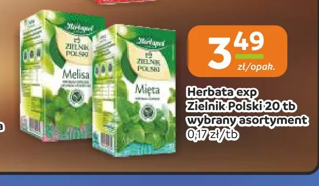 Herbata ekspresowa Herbapol Zielnik Polski melisa promocja w Gama