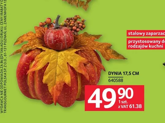 Dynia 17,5 cm promocja w Selgros