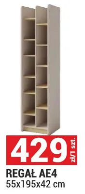 Regał AE4 55x195x42 cm promocja w Merkury Market