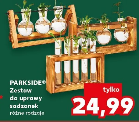 Zestaw do uprawy sadzonek, różne rodzaje promocja w Kaufland