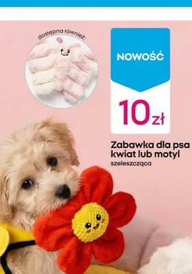 Zabawka dla psa kwiat lub motyl promocja w Pepco