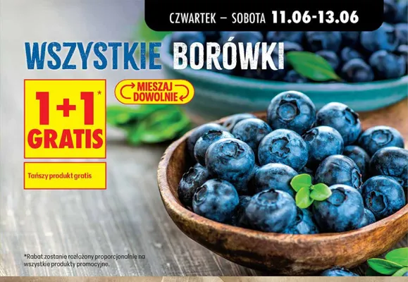 Borówki promocja w Biedronka