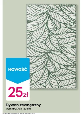 Dywan zewnętrzny 70x120 cm promocja w Pepco