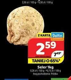 Seler promocja w Delfin
