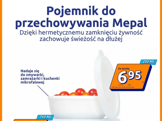 Pojemnik do przechowywania Mepal 250 ml promocja w Action