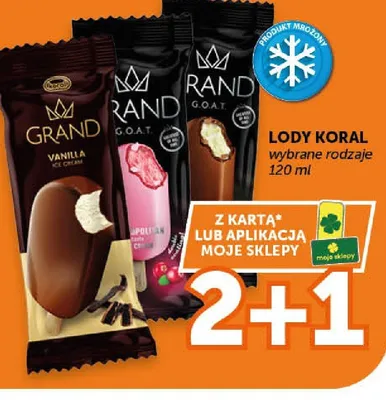 Lody Koral wybrane rodzaje promocja w Groszek