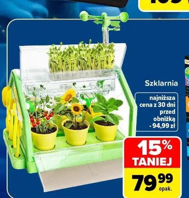 Szklarnia promocja w Carrefour