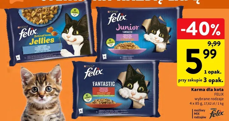 Karma dla kota Junior promocja w Intermarche