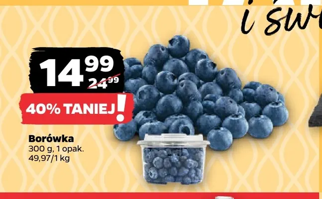 Borówka promocja w Netto