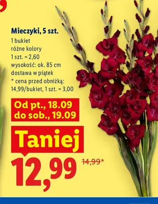 Mieczyki 5-pak promocja w Lidl