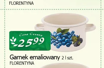 Garnek emaliowany Florentyna 2 l promocja w CEZAR Delikatesy