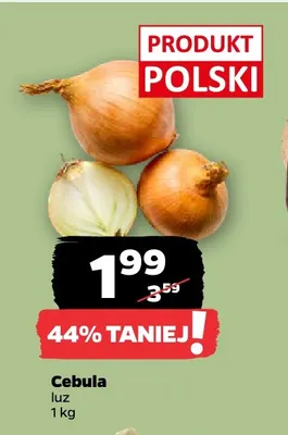 Cebula promocja w Netto