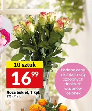 Róża bukiet promocja w Twój Market
