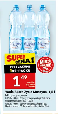 Woda gazowana Skarb Życia Muszyna promocja w Twój Market