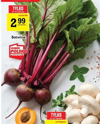 Botwina promocja w Gram Market