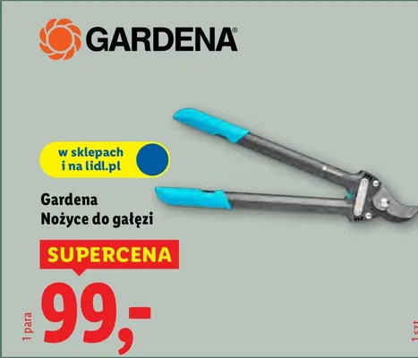 Nożyce do gałęzi promocja w Lidl