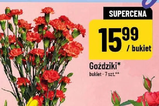 Goździki bukiet 7szt. promocja w POLOmarket