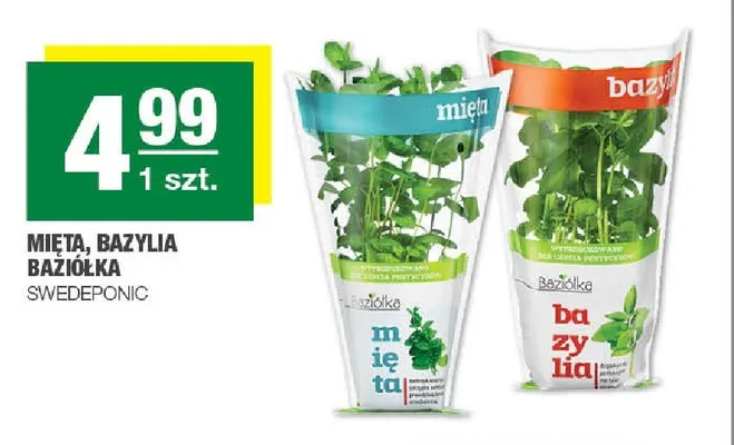 Bazylia Baziółka Swedeponic promocja w SPAR