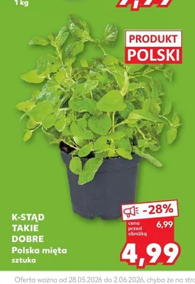 Polska mięta K-Stąd Takie Dobre promocja w Kaufland