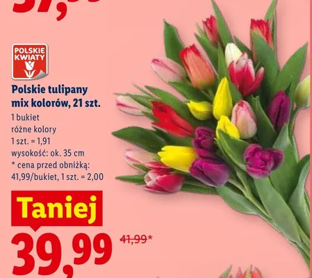 Polskie tulipany mix kolorów wys. ok. 35cm promocja w Lidl