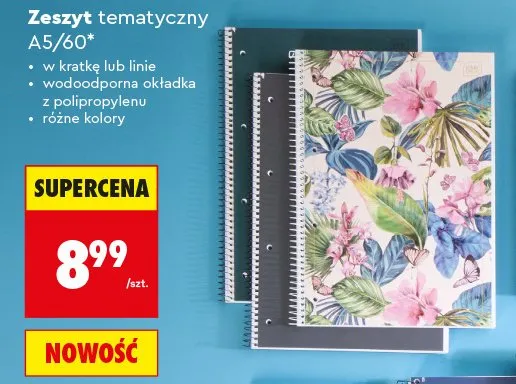 Kołozeszyt A4/50 Interdruk promocja w Biedronka