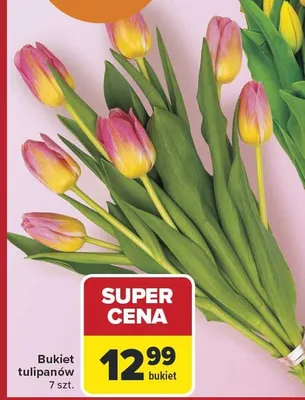 Bukiet tulipanów promocja w Carrefour