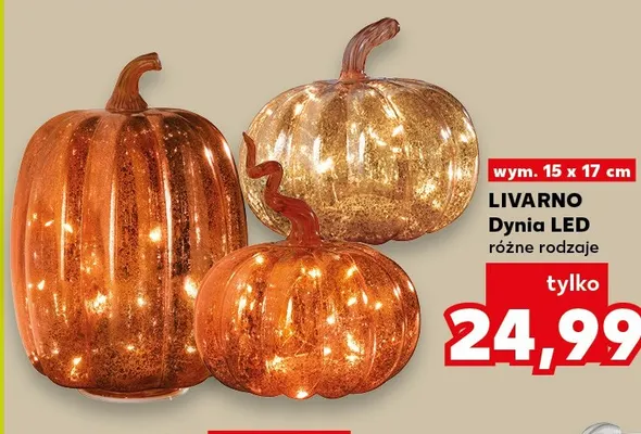 Dynia LED Livarno promocja w Kaufland