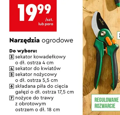 Narzędzia ogrodowe sekator nożycowy promocja w Biedronka