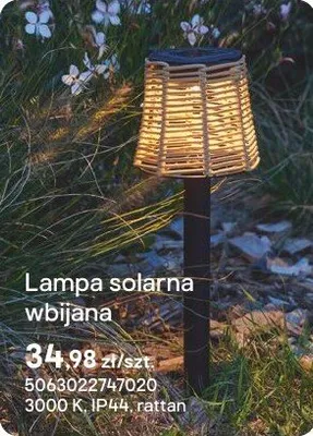 Lampa solarna wbijana Bamboo promocja w Castorama