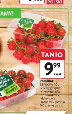 Pomidor malinowy gałązka Z Sadów i Pól promocja w Intermarche