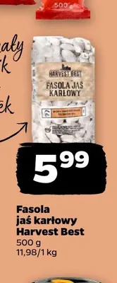 Fasola jaś karłowy Harvest Best promocja w Netto
