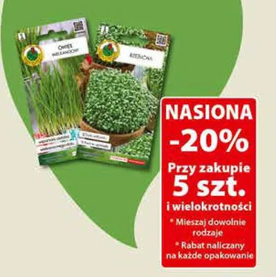 Cebule dalii promocja w Dino