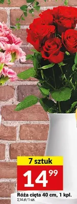 Róża cięta 40 cm 7 sztuk promocja w Twój Market