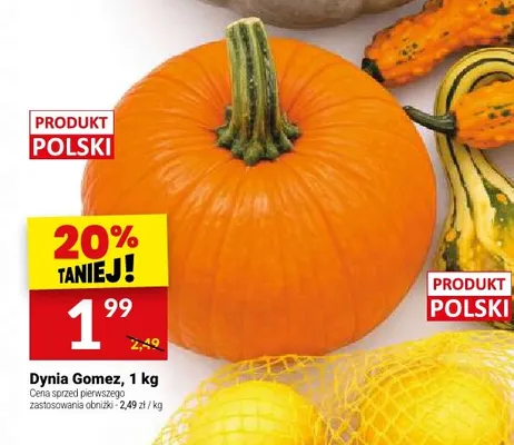 Dynia Gomez promocja w Twój Market