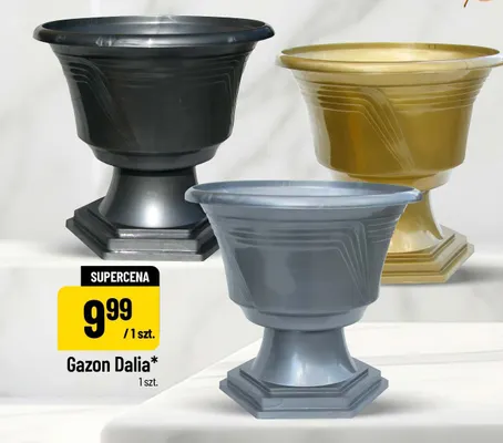 Gazon Dalia promocja w POLOmarket