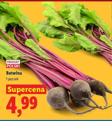 Botwina promocja w Lidl