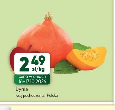 Dynia promocja w Avita