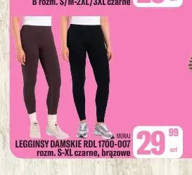 Legginsy damskie Moraj RDL 1700-007 promocja w Tomi Markt