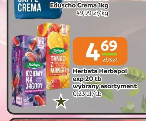 Herbata ekspresowa Herbapol promocja w Społem Częstochowa