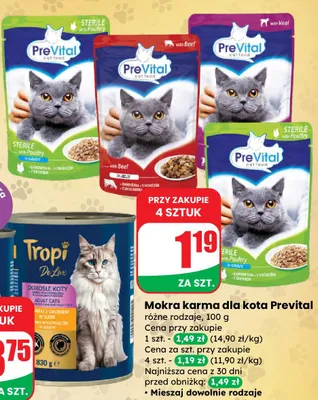 Mokra karma dla kota różne rodzaje promocja w Dino