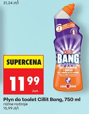 Płyn do toalet różne rodzaje promocja w Biedronka