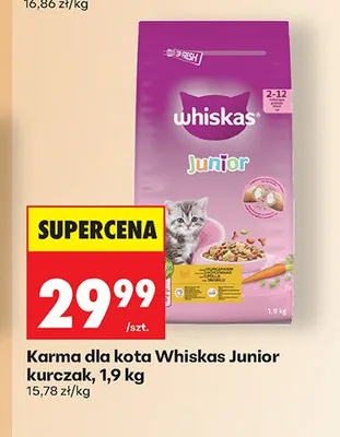 Karma dla kota Whiskas Junior kurczak promocja w Biedronka