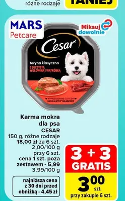 Karma mokra dla psa Cesar promocja w Carrefour