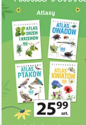 Atlasy promocja w Auchan