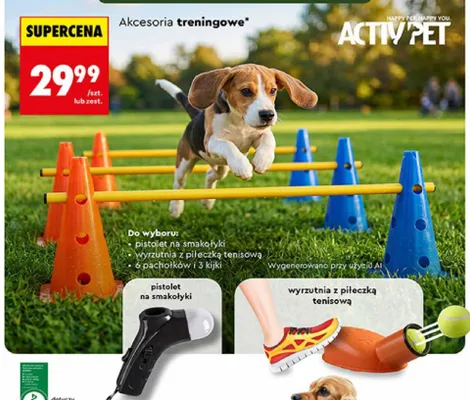 Wyrzutnia z piłeczką tenisową Activ'Pet promocja w Biedronka