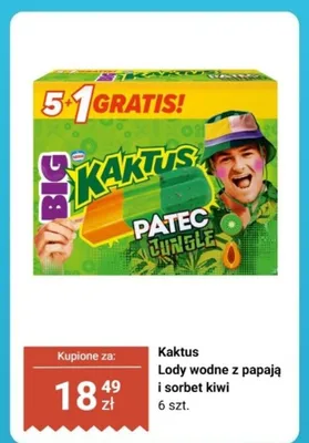 Lody wodne z papają i sorbet kiwi promocja w Biedronka