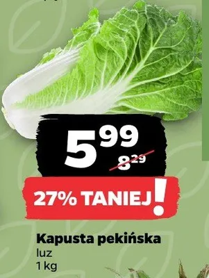 Kapusta pekińska promocja w Netto