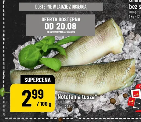 Nototenia tusza promocja w POLOmarket