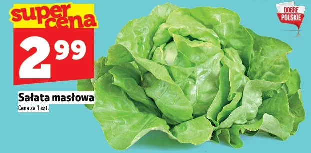 Sałata masłowa promocja w TOPAZ